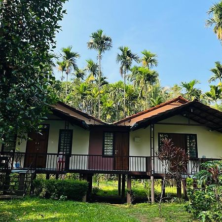 Standard Family Hut Villa Tariyod Exterior photo