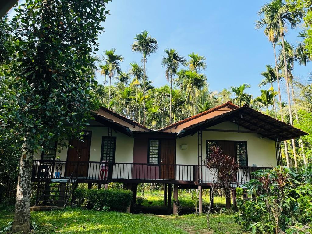 Standard Family Hut Villa Tariyod Exterior photo